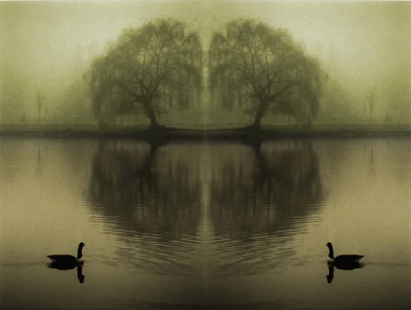 Symetryczna Sylwetka Jeziora Odbiciem Drzew — Zdjęcie stockowe
