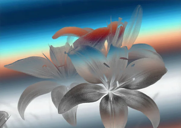Belles Fleurs Lys Fond Floral Aquarelle Illustration — Photo