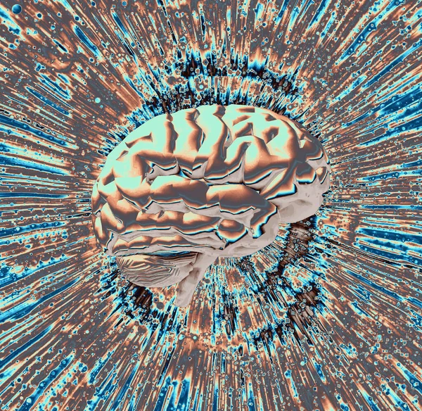 Illustratie Van Het Menselijk Brein Computer Grafisch — Stockfoto