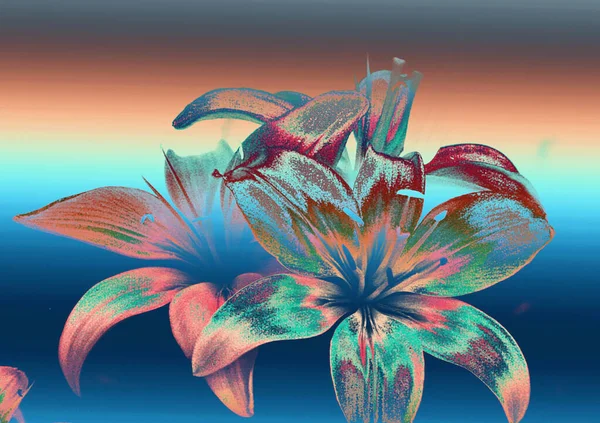 Mooie Lelie Bloemen Bloemen Achtergrond Aquarel Illustratie — Stockfoto