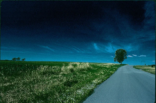 Schöne Landschaft Mit Feld Und Baum Auf Der Straße — Stockfoto