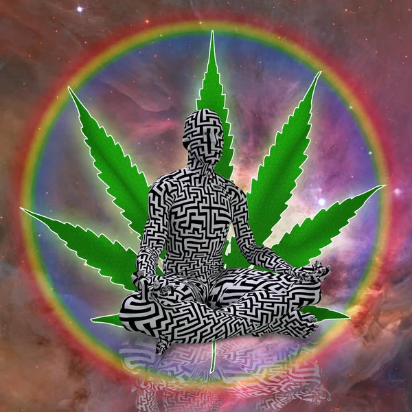 Marijuana Plant Cannabis Leaf Green Weed — Fotografia de Stock