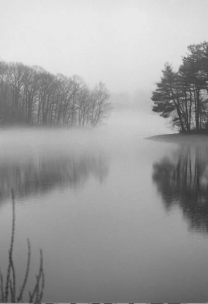 안개낀 호수에서 나무들 반사되고 반사되는 — 스톡 사진