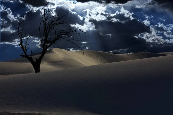 View Beautiful Desert Cloudy Sky — Stock fotografie
