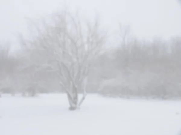 冬天的树 抽象模糊的绘画 — 图库照片