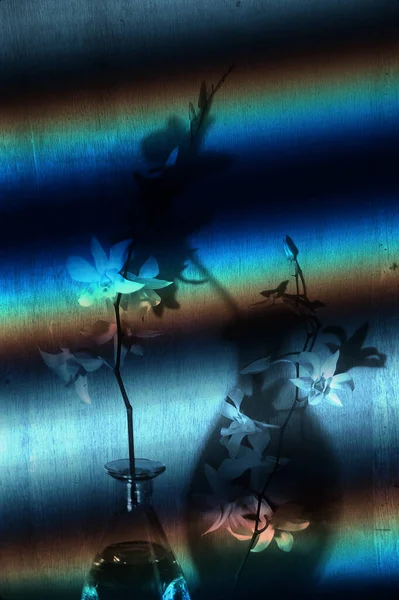 Vazo Çiçeklerle Soyut Renkli Arkaplan — Stok fotoğraf
