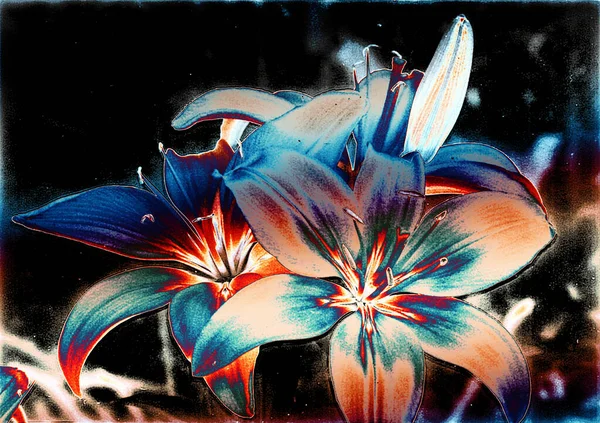 美しいユリの花花の背景水彩イラスト — ストック写真