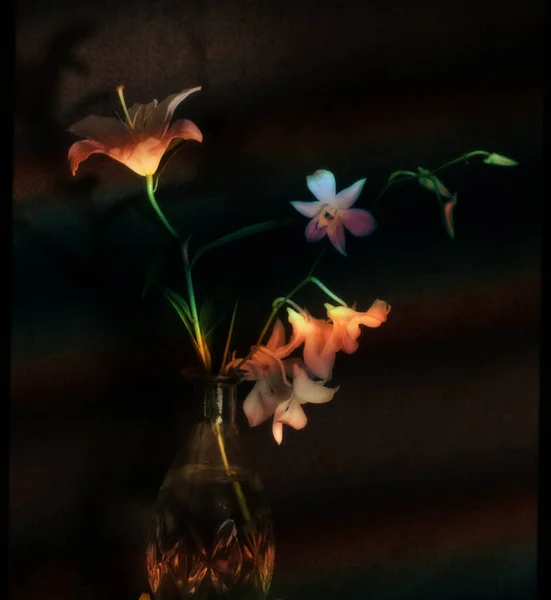Красиві Квіти Орхідей Скляній Вазі Темному Фоні — стокове фото