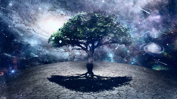 Baum Des Lebens Sci Kunst — Stockfoto