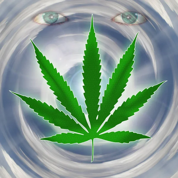 Marijuana Plant Cannabis Leaf Green Weed — Stok fotoğraf