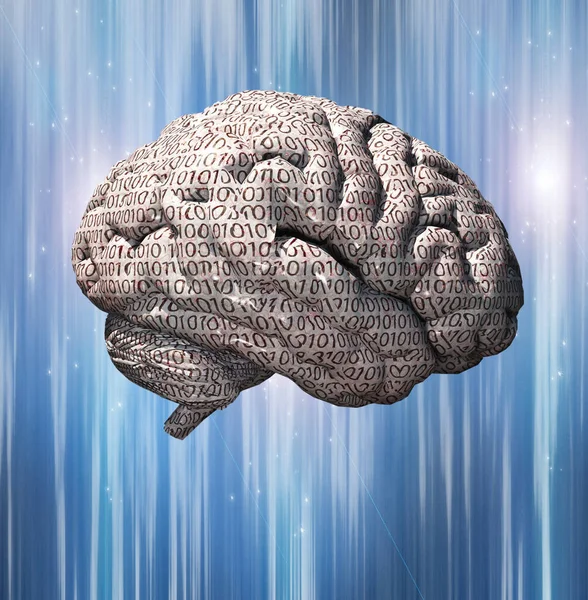 Cerebro Digital Con Patrón Código Binario Renderizado —  Fotos de Stock