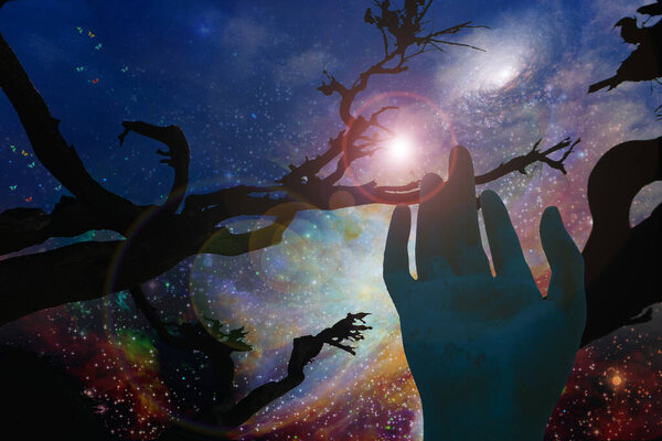 Night silhouette of tree and hand on space background