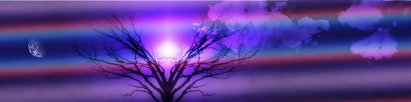 Podivný Strom Barevném Pozadí — Stock fotografie