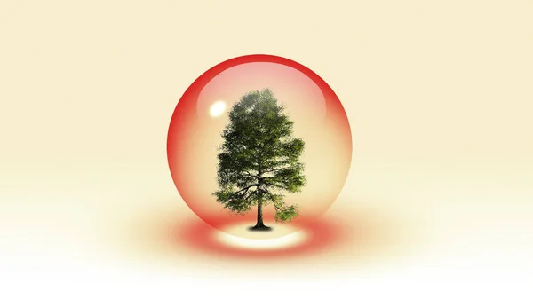 Albero Dentro Bolla Rendering — Foto Stock