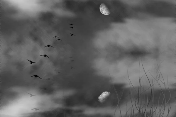 Mystická Povaha Ptáci Letí Měsíc Vykreslování — Stock fotografie