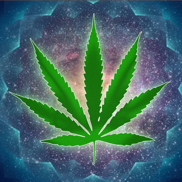 带有大麻叶的大麻植物 — 图库照片