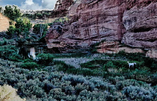 Hermoso Paisaje Del Gran Cañón Del Parque Nacional Utah — Foto de Stock