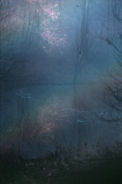 Forest Lake 'in soyut doğal arka planı