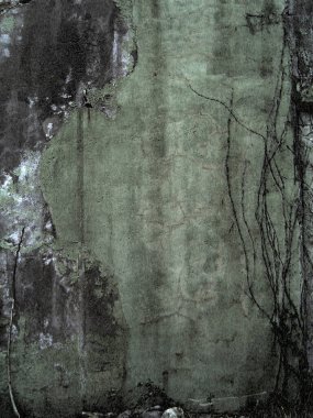 Sönük renklerde bitkilerle dolu çatlak bir duvar..