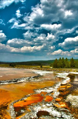 Yellowstone Ulusal Parkı. Güzel manzara resmi.