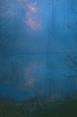 Forest Lake 'in soyut doğal arka planı