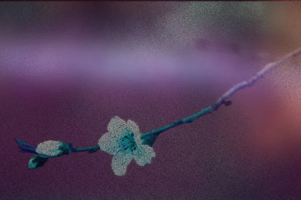 Beschnitten Ansicht Der Schönen Blühenden Frühlingsblumen Auf Zweig — Stockfoto