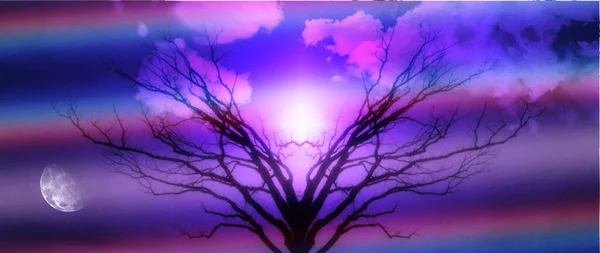 色彩艳丽的奇异树 — 图库照片