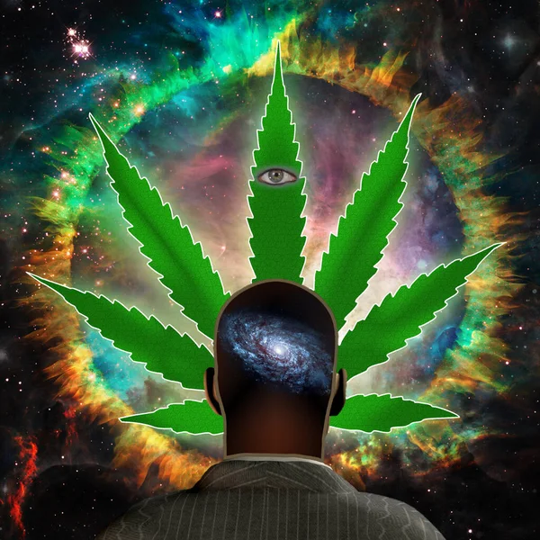 Marihuana Pflanze Mit Cannabisblatt Grünem Unkraut — Stockfoto
