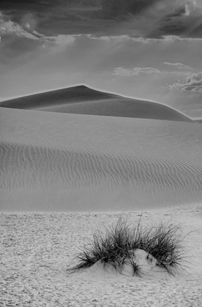Красивий Пейзаж Пустелі Фоні — стокове фото