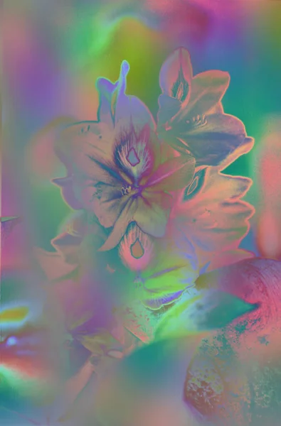 Çiçek Siluetleriyle Soyut Arkaplan — Stok fotoğraf