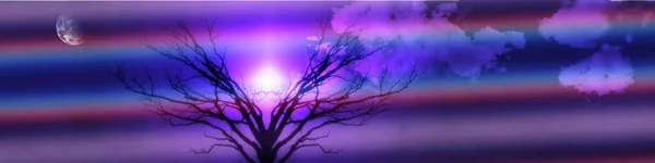 Renkli Arkaplanda Garip Bir Ağaç — Stok fotoğraf