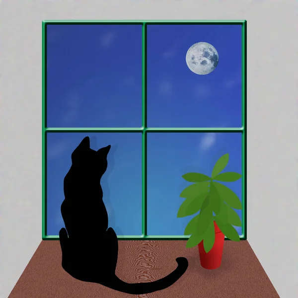 Schwarze Katze Schaut Aus Dem Fenster — Stockfoto