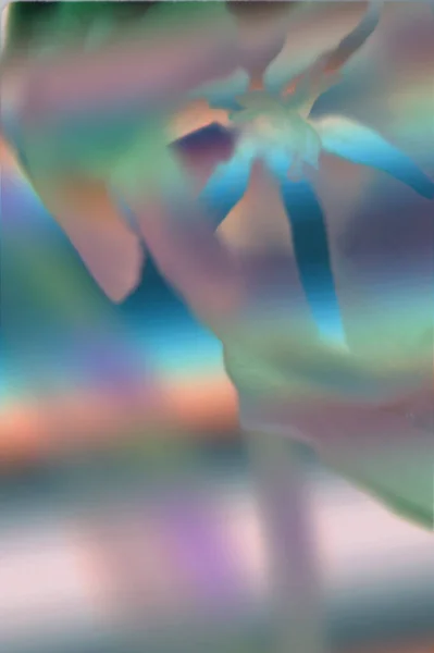 Tulip Abstract Background Bokeh — Stok fotoğraf