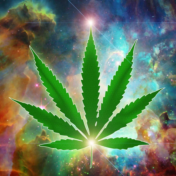 Marihuána Növény Kannabisz Levél Zöld — Stock Fotó