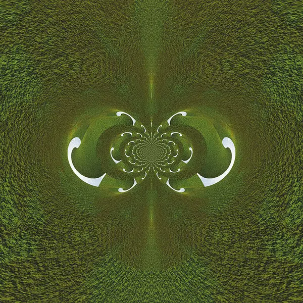 Abstracte Groene Textuur Achtergrond Met Witte Elementen — Stockfoto