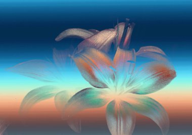 güzel zambak çiçekleri, çiçekli arka plan suluboya çizimi 