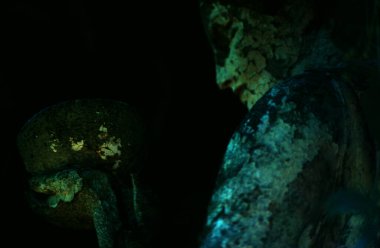 Heykelin sualtı görüntüsü