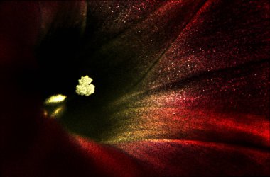 Renkli desenli güzel soyut arkaplan