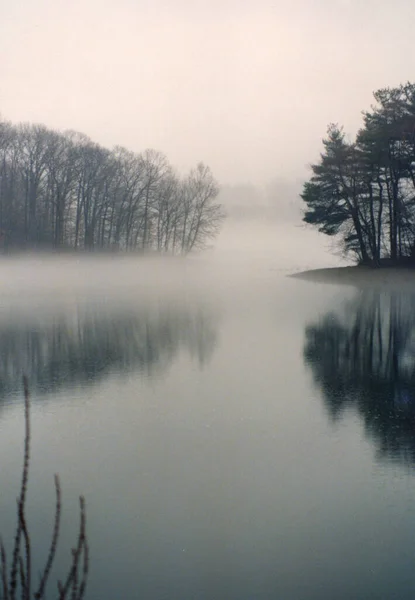 Orilla Del Lago Místico Árboles Niebla —  Fotos de Stock