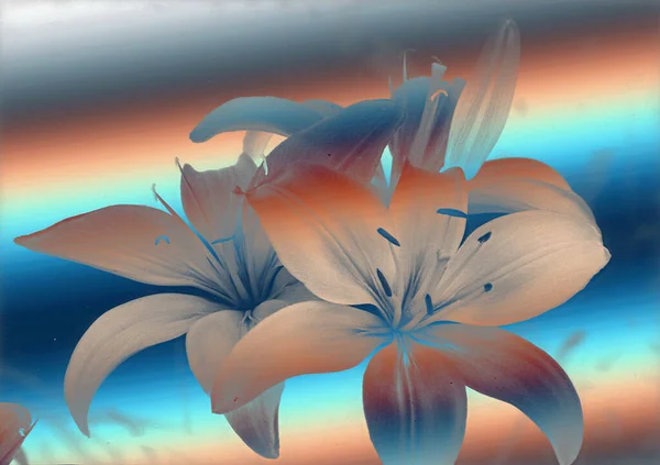 Όμορφα Λουλούδια Κρίνο Floral Φόντο Ακουαρέλα Εικονογράφηση — Φωτογραφία Αρχείου