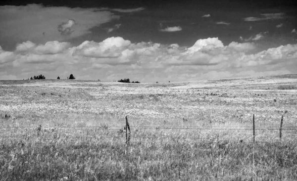 Landschaft Mit Feld Und Bewölktem Himmel Hintergrund — Stockfoto