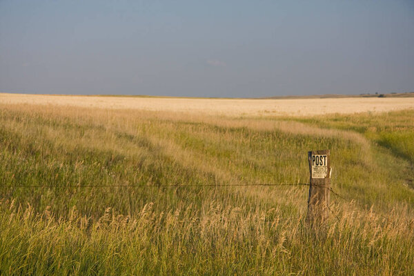 красивый снимок поля с дорогой на заднем плане