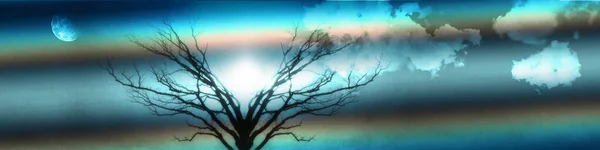 Strange Tree Colorful Background — 图库照片