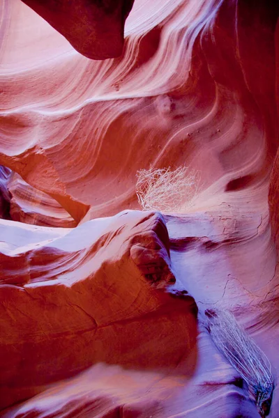 Krajobraz Kanionu Antylop Piękna Przyroda — Zdjęcie stockowe