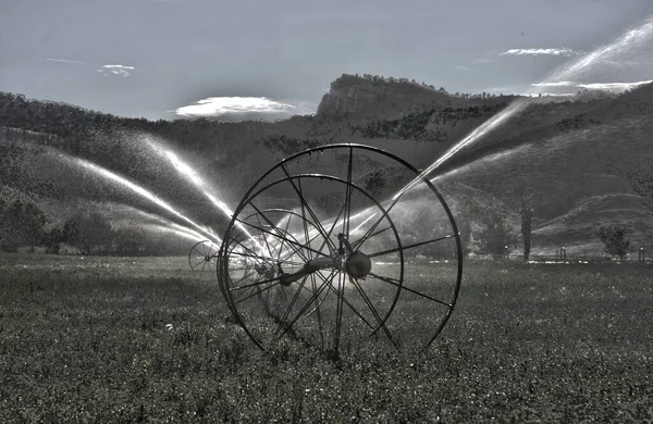 農地に自動灌漑システム 白黒の画像 — ストック写真