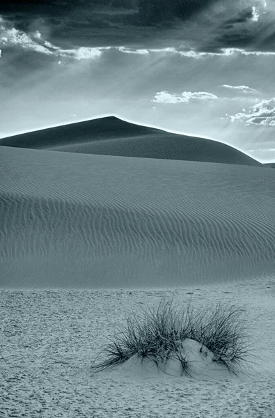 Όμορφο Τοπίο Της Ερήμου Στο Παρασκήνιο — Φωτογραφία Αρχείου