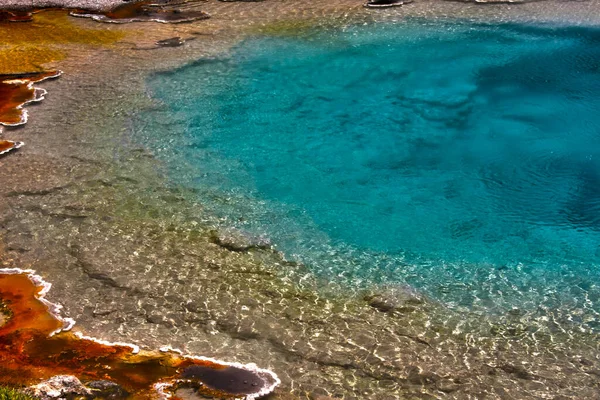 Printemps Dans Parc National Yellowstone Usa — Photo