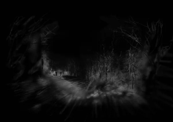 Gente Camina Por Bosque Misterioso Por Noche —  Fotos de Stock