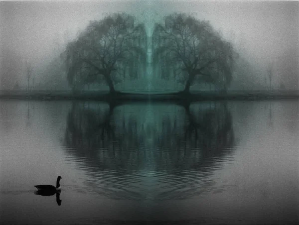 Symmetrical Silhouette Lake Trees Reflection — Stock Photo, Image