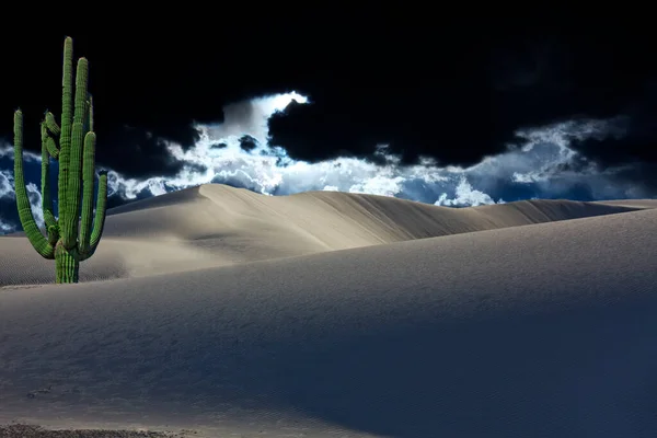 View Beautiful Desert Cloudy Sky — 스톡 사진